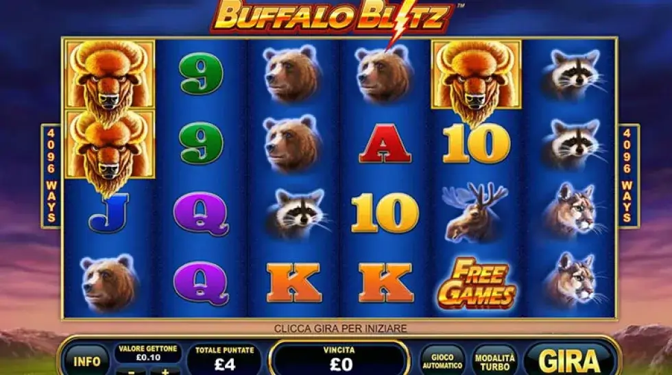 Buffalo blitz