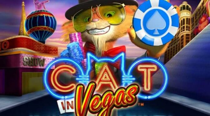 Cat in vegas