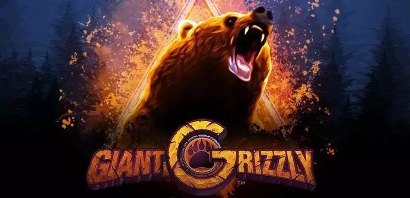 Giant grizzly