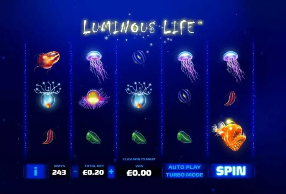 Luminous life