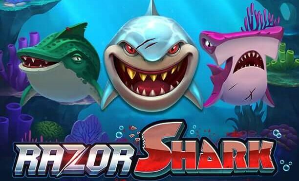 Razor shark