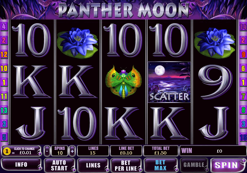 Panther moon