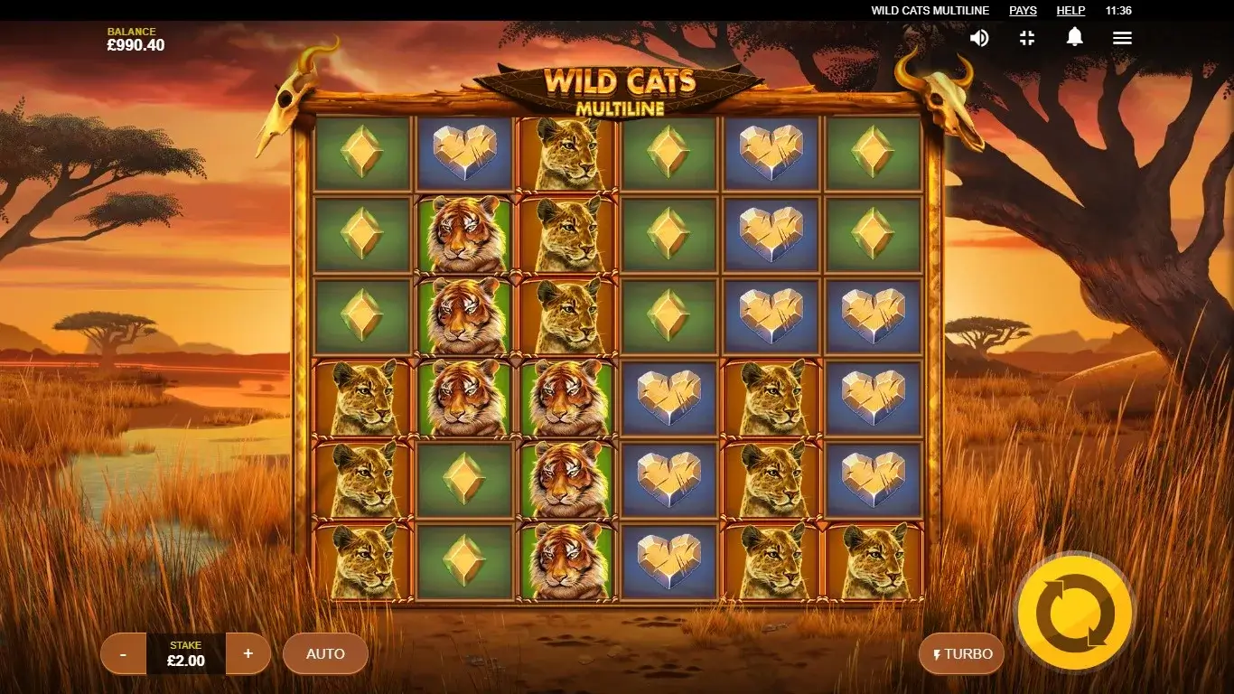 Wild cats multiline