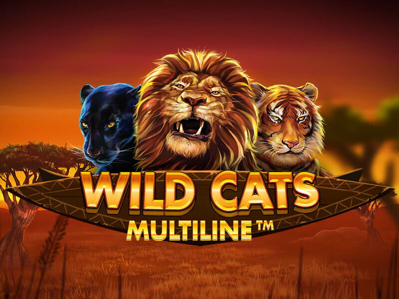 Wild cats multiline