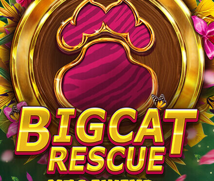 Big cat rescue megaways