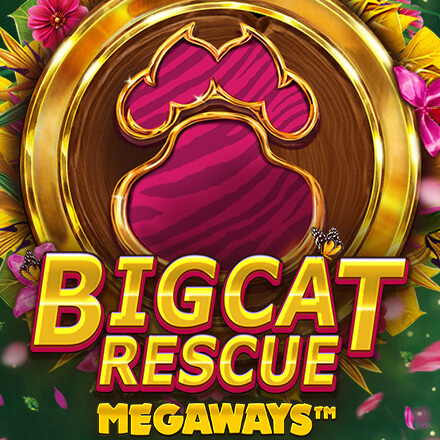 Big cat rescue megaways