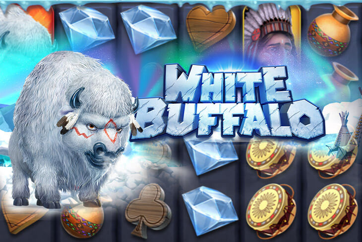 White buffalo