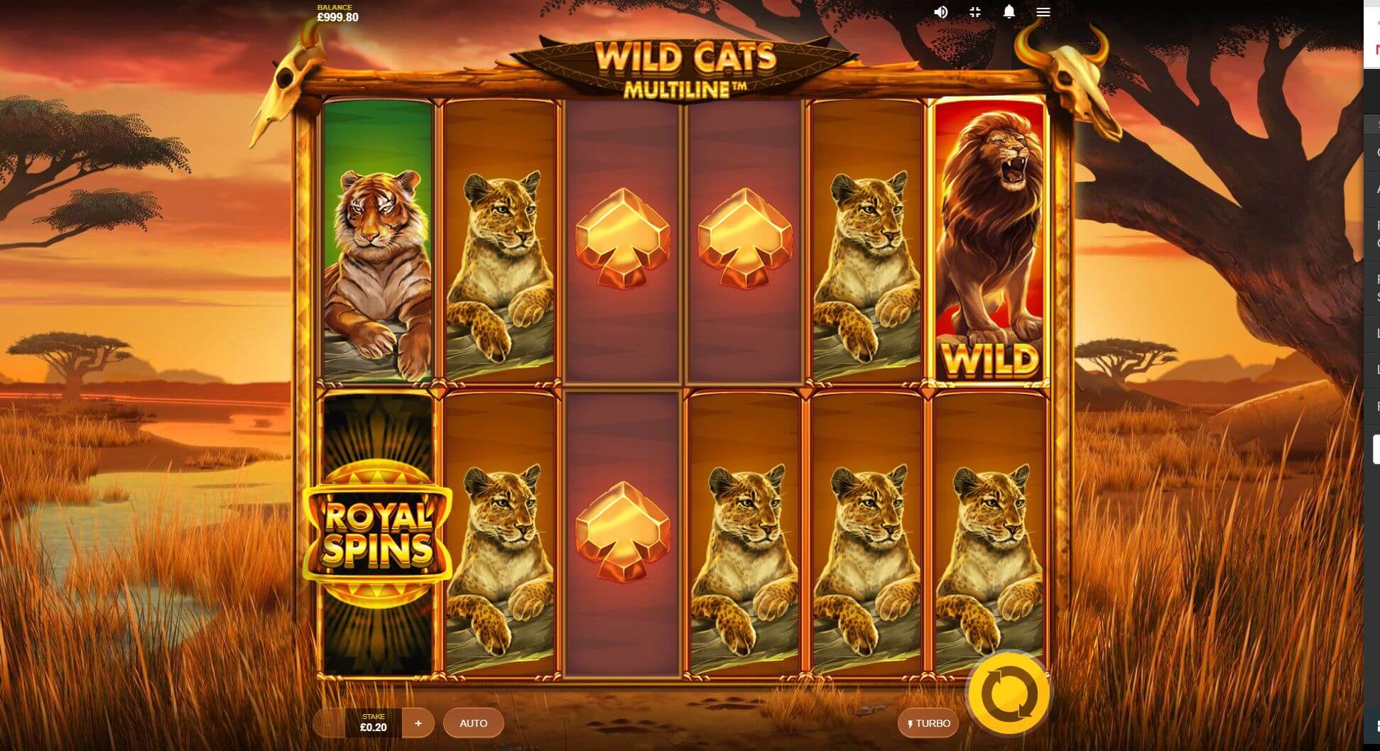 Wild cats multiline