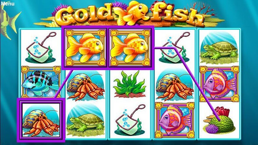 Gold fish