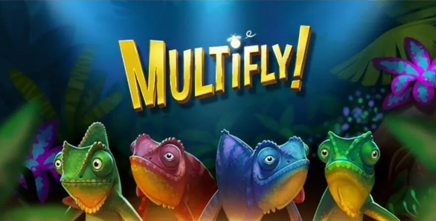 Multifly!