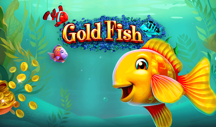 Gold fish