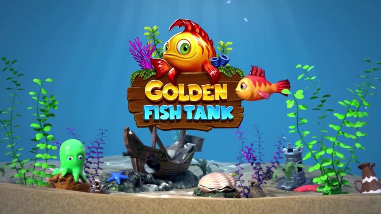 Golden fish tank