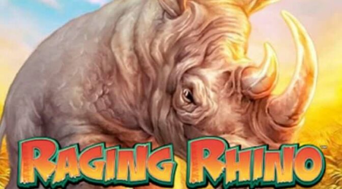 Raging rhino