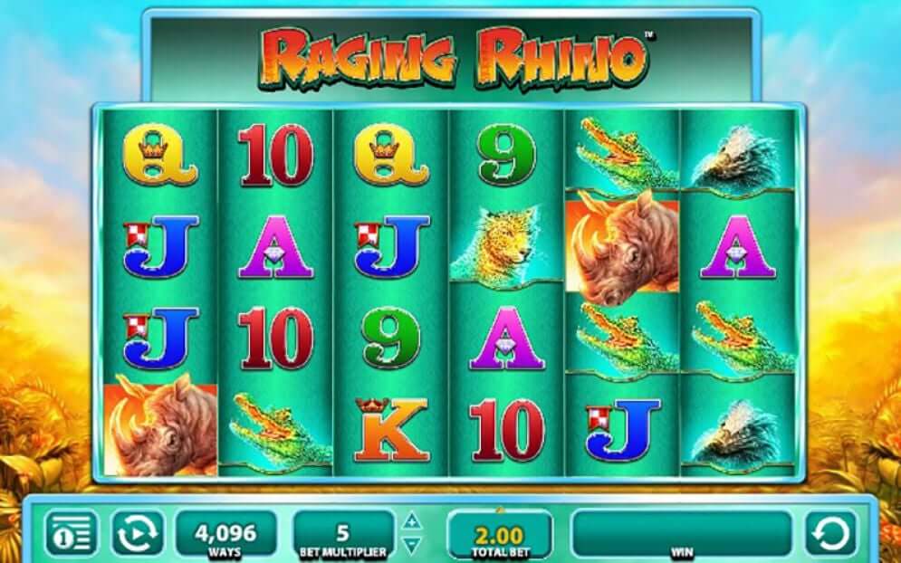 Raging rhino