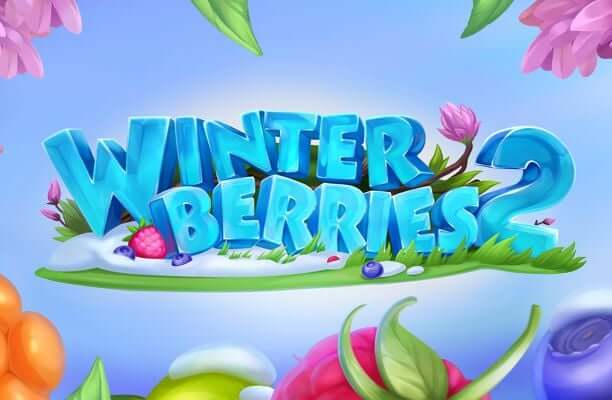 Winterberries 2